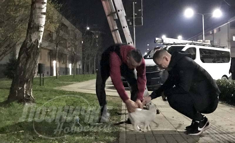 ДАН НА БРЕЗИ – Спасавање цица-маце ДАН НА БРЕЗИ – Спасавање цица-маце