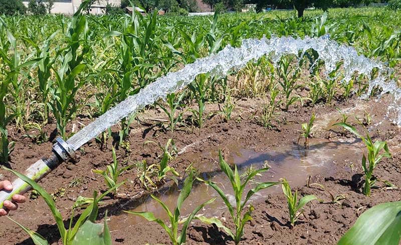 НА ИЗВОРИШТУ „ШИПАД“ – Има воде за нови бунар НА ИЗВОРИШТУ „ШИПАД“ – Има воде за нови бунар
